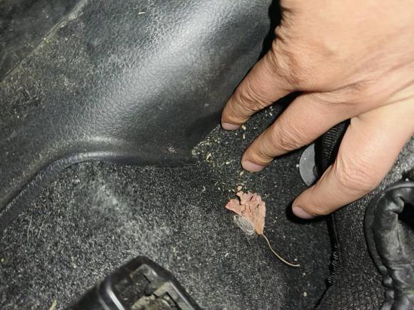 [常州·苏D] 二手荣威荣威RX52019款 20T 两驱自动Ali智联网铂金版