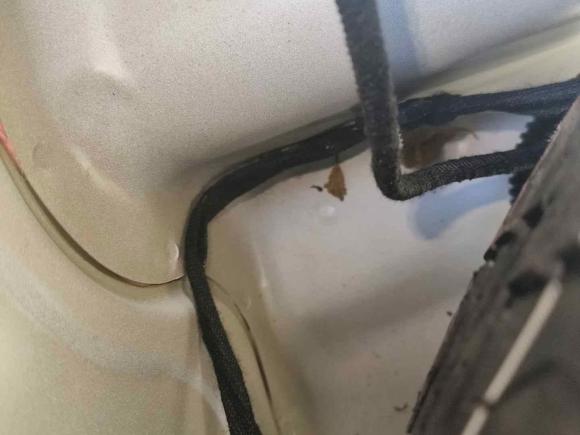 [深圳·粤P] 二手奥迪奥迪A4L2020款 40 TFSI 豪华致雅型