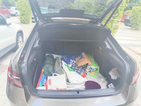 [上海·沪B] 二手斯柯达速派2018款 TSI380 DSG旗舰版 国V