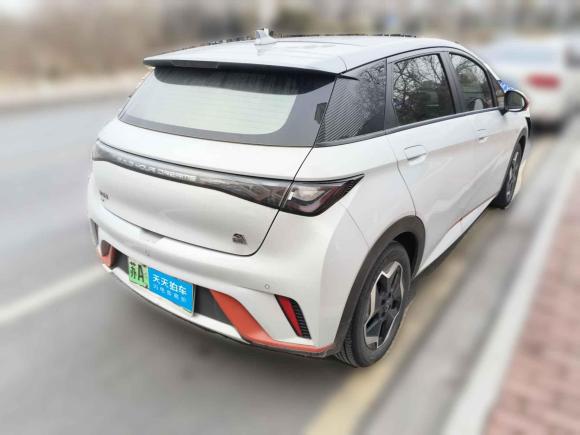 [南京·苏A] 二手比亚迪海豚2021款 405km 时尚版