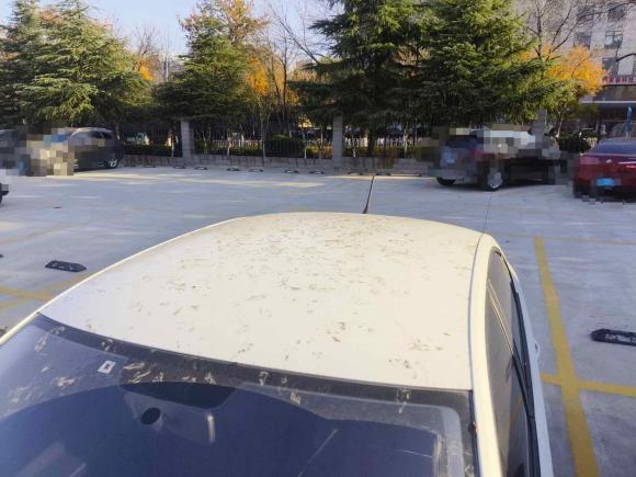 [济南·鲁A] 二手大众桑塔纳2021款 1.5L 自动风尚版