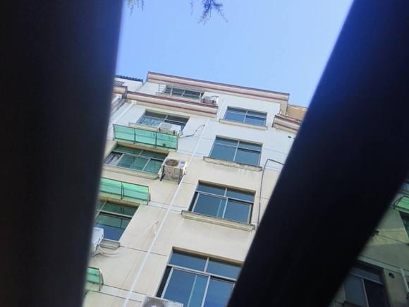 [金华·沪A] 二手之诺之诺60H2017款 标准型