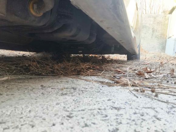 [济南·鲁A] 二手大通大通G102022款 2.0T 自动智享版 汽油 7座