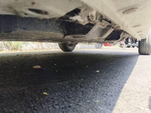 [济南·鲁A] 二手雷丁雷丁芒果2021款 趣芒悦动版 185km