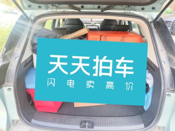 [苏州·苏E] 二手爱驰爱驰U52019款 U5 ING+