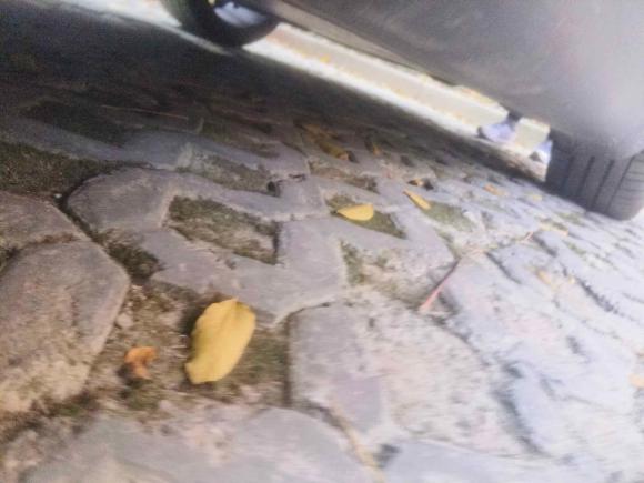 [上海·沪A] 二手特斯拉Model Y2021款 标准续航后驱版