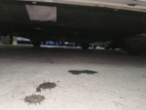 [温州·浙C] 二手本田雅阁2008款 2.0L EX