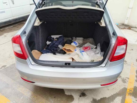[上海·沪C] 二手斯柯达明锐2010款 1.8TSI DSG逸尊版