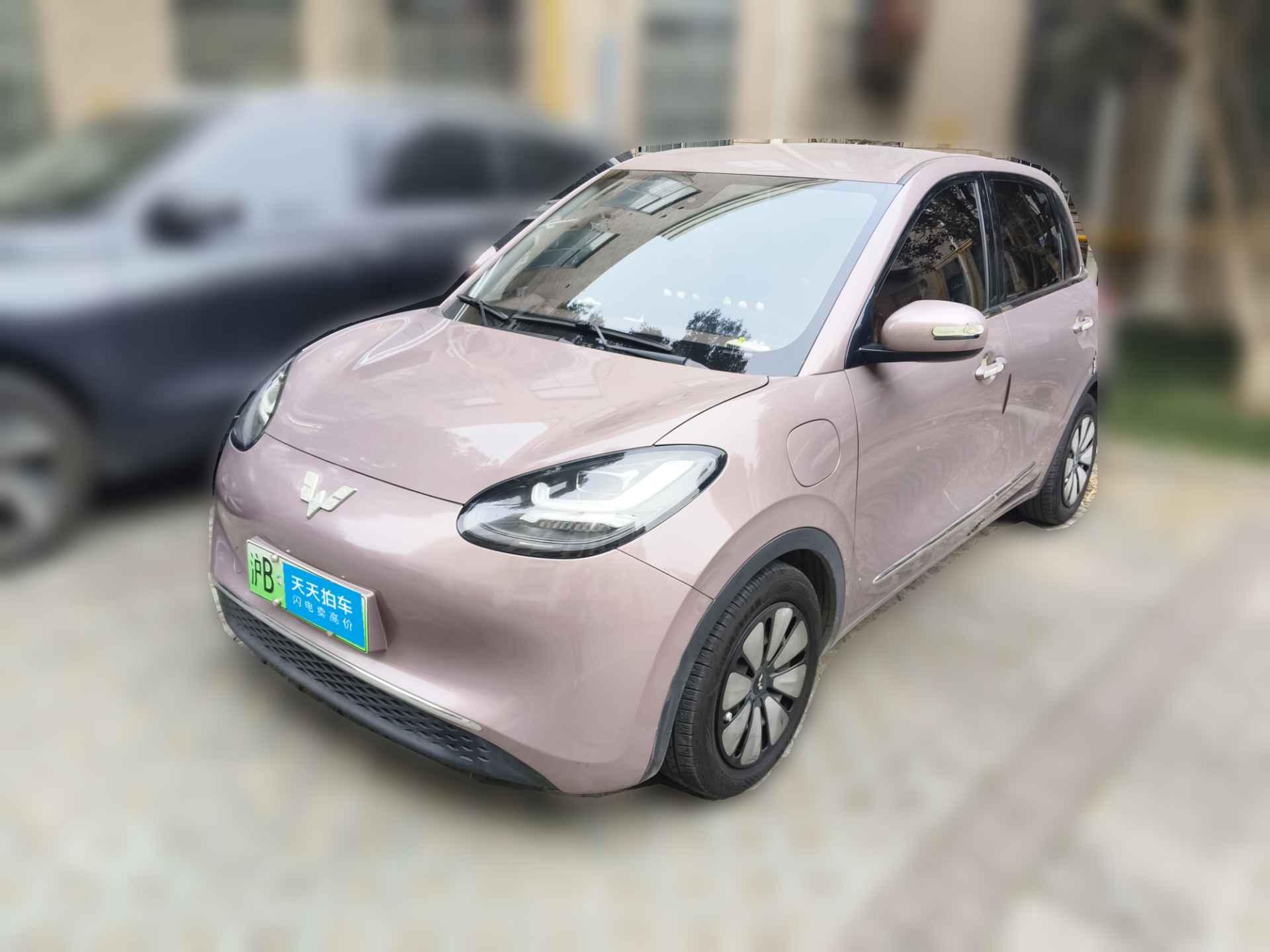 [上海·沪B] 五菱汽车五菱缤果2023款 333km 悦享款