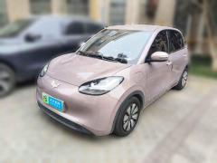 [上海·沪B] 五菱汽车五菱缤果2023款 333km 悦享款