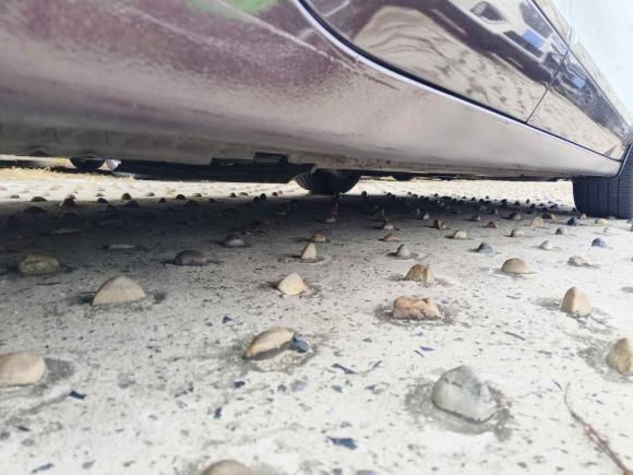 [苏州·苏E] 二手别克君越2016款 20T 精英型