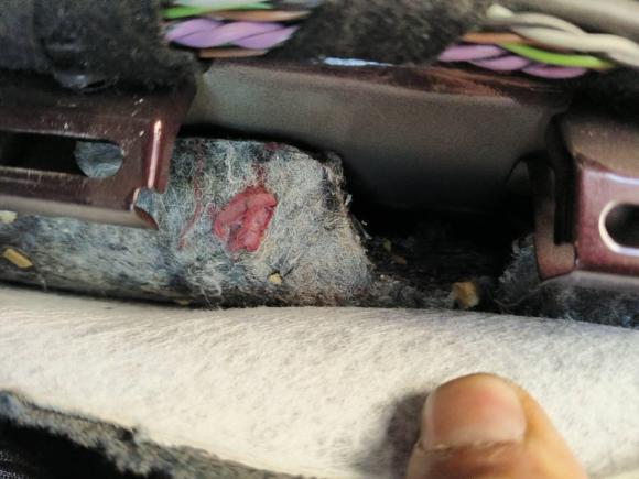 [合肥·皖A] 二手奥迪奥迪A32018款 30周年年型 Sportback 40 TFSI 风尚型