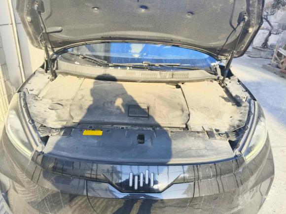 [南通·苏F] 二手威马汽车威马EX52019款 EX5 Lite探索版520