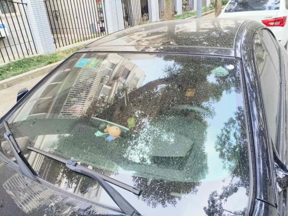 [上海·沪J] 二手宝马宝马6系2013款 改款 640i Gran Coupe