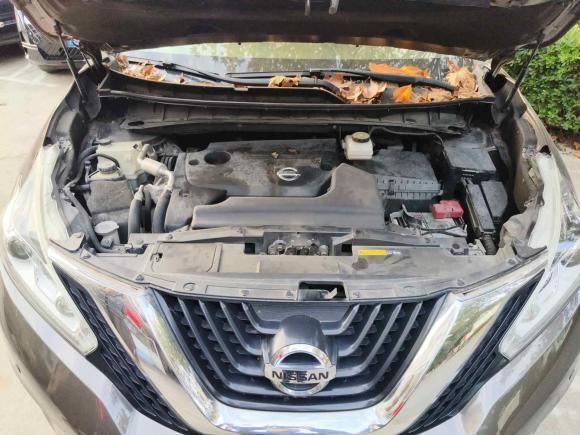 [上海·苏E] 二手日产楼兰2019款 2.5L XL 两驱智联豪华版 国VI