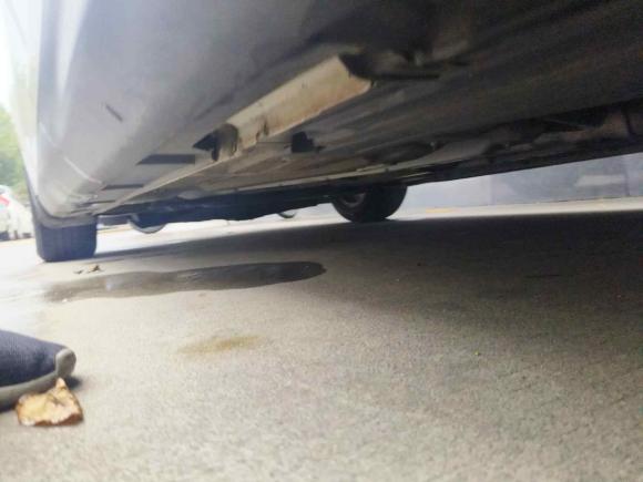 [常州·苏D] 二手福特福克斯2015款 三厢 1.6L 手动风尚型