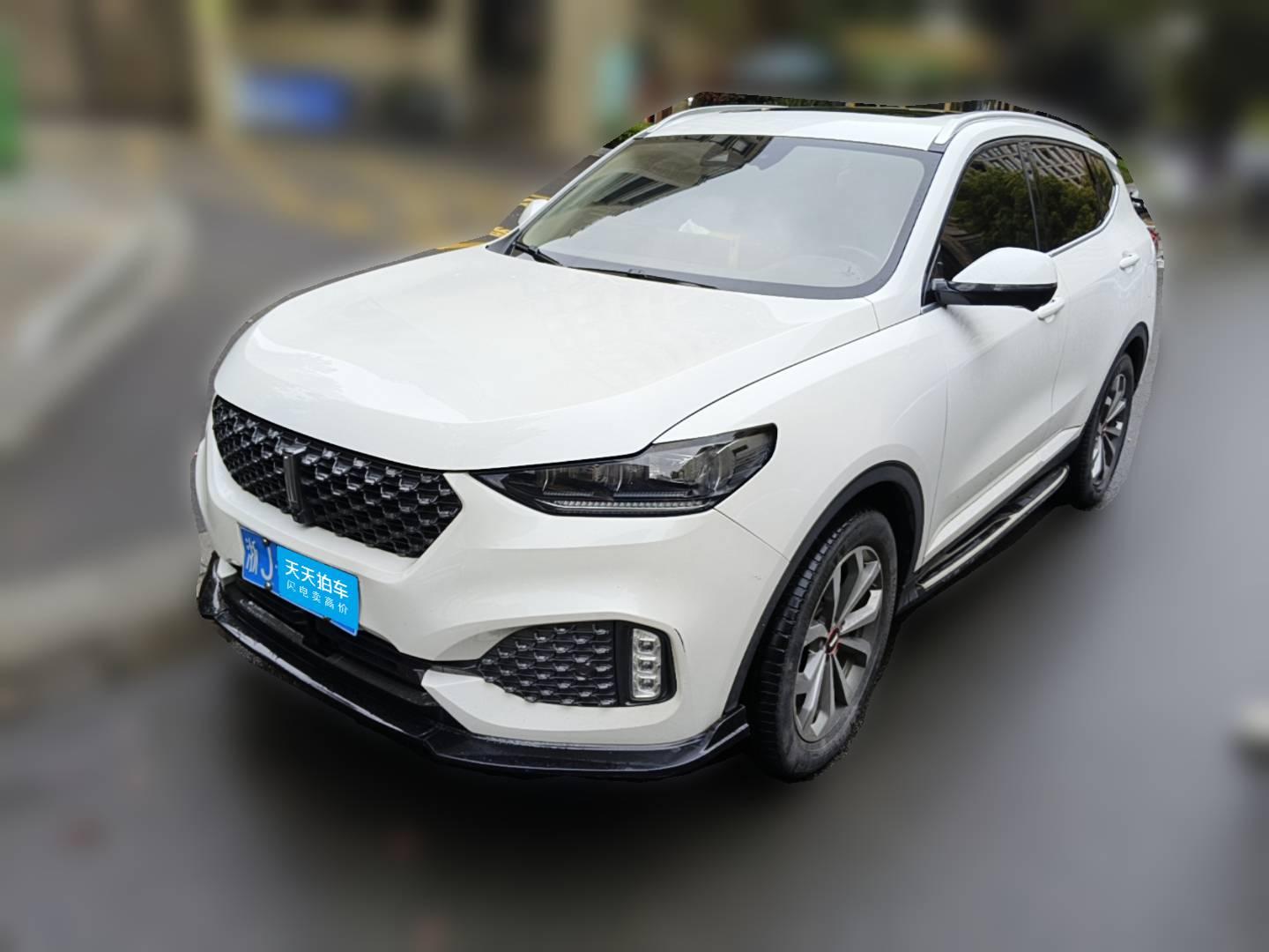 [台州·浙J] 魏牌魏牌 VV62020款 2.0T 两驱智享+