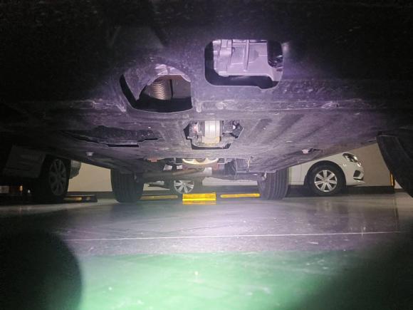 [深圳·粤L] 二手哈弗哈弗大狗2024款 1.5T DCT边牧版