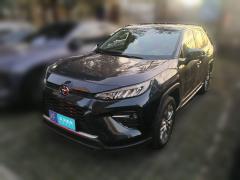 [上海·沪F] 丰田威兰达2020款 2.0L CVT四驱豪华版