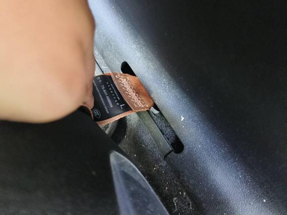 [武汉·鄂A] 二手小鹏小鹏P52022款 460E+