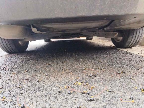 [上海·苏J] 二手斯柯达明锐2014款 1.6L 自动逸俊版