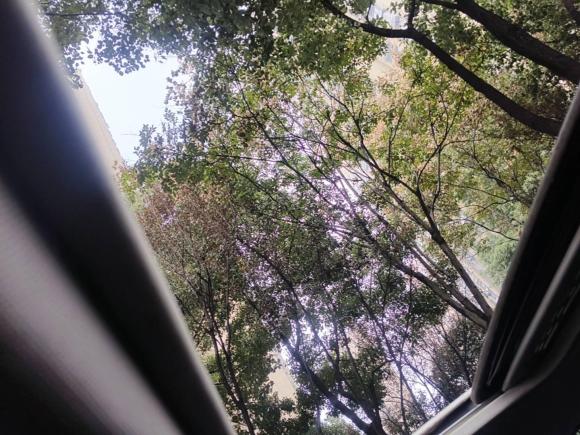 [合肥·皖A] 二手宝马宝马3系2017款 320Li 时尚型