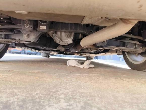 [无锡·苏B] 二手宝马宝马3系2019款 320Li M运动套装