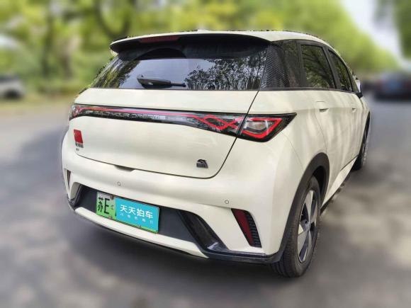 [上海·苏E] 二手比亚迪海豚2023款 420km 自由版