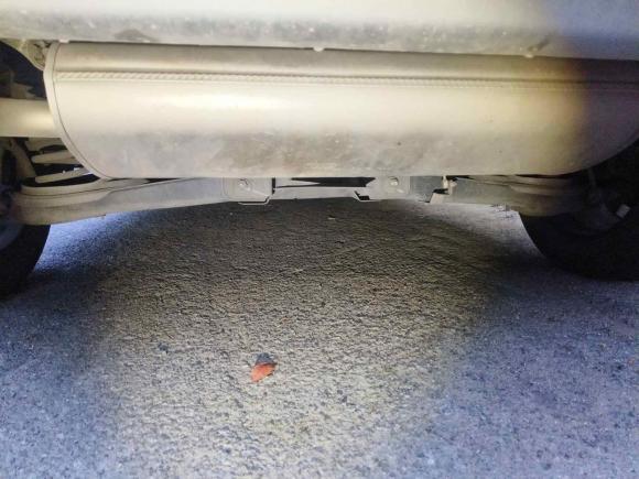 [杭州·浙A] 二手福特翼虎2015款 2.0L GTDi 四驱运动型