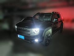 [成都·川X]哈弗&nbsp;&nbsp;哈弗大狗&nbsp;&nbsp;2024款 1.5T DCT边牧版
