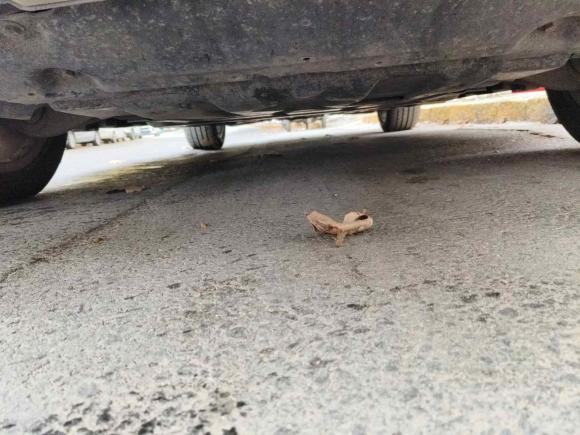 [青岛·鲁B] 二手奔驰奔驰M级2012款 ML 350 动感型