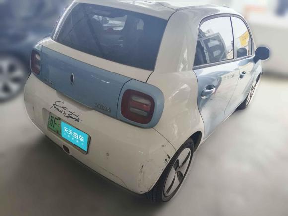 [南通·苏F] 二手欧拉欧拉黑猫2019款 351km 灵趣版