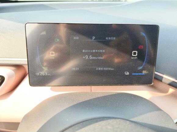 [合肥·皖A] 二手比亚迪海鸥2023款 活力版