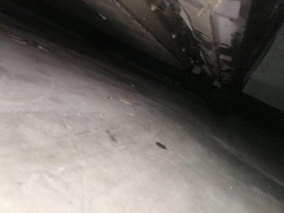 [常州·苏B] 二手埃安AION Y2022款 Plus 70 智领版