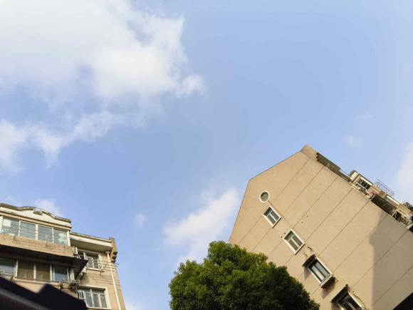 [上海·沪D] 二手本田雅阁2018款 260TURBO 精英版 国VI