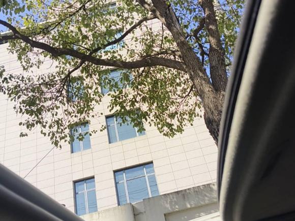 [上海·沪G] 二手丰田雷凌2018款 185T CVT尊贵版 国V