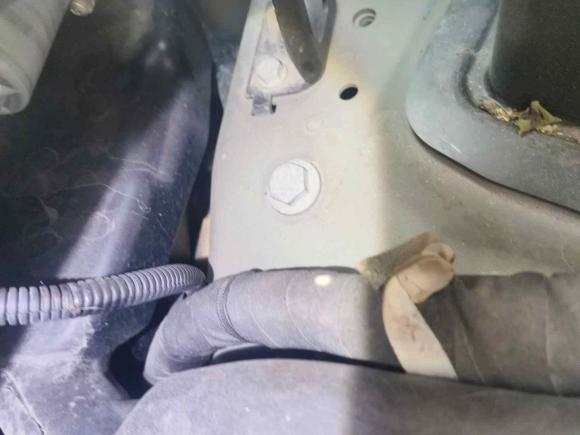 [南京·苏A] 二手特斯拉Model Y2021款 标准续航后驱版