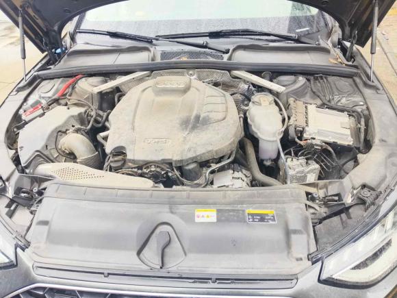 [广州·粤S] 二手奥迪奥迪A4L2022款 40 TFSI 时尚动感型