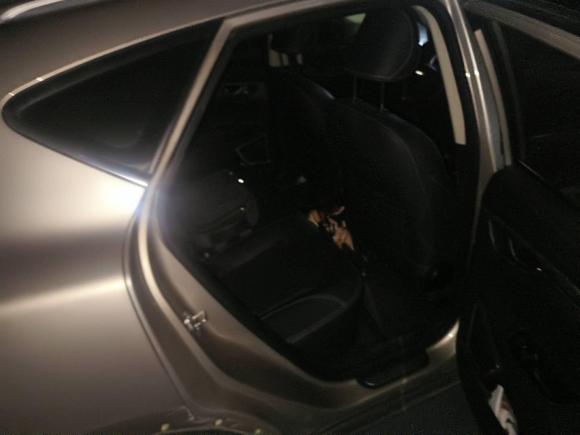 [合肥·皖A] 二手吉利汽车帝豪GS2018款 优雅版 1.8L 手动领尚型