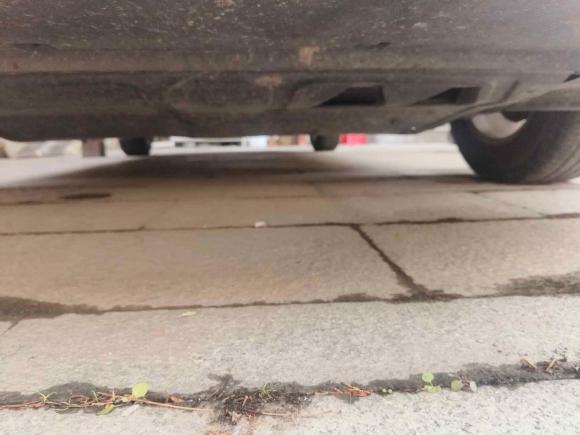 [上海·沪C] 二手大众朗逸2013款 1.6L 自动风尚版