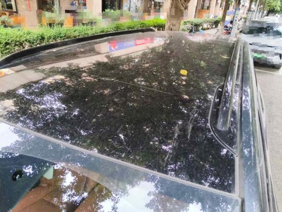 [成都·川A] 二手零跑汽车零跑C162024款 增程 200尊享版