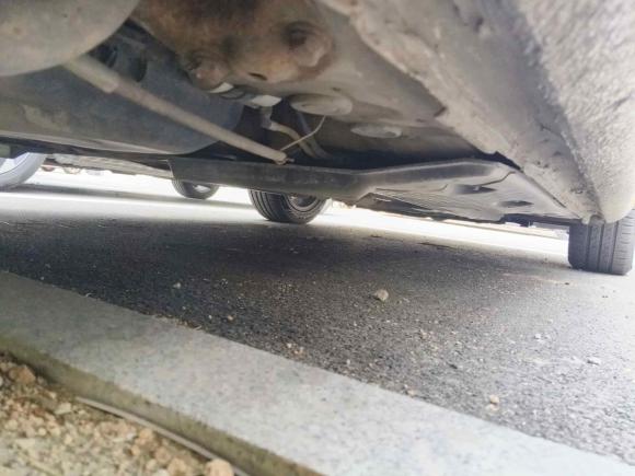 [青岛·鲁B] 二手大众速腾2011款 1.6L 自动特别版