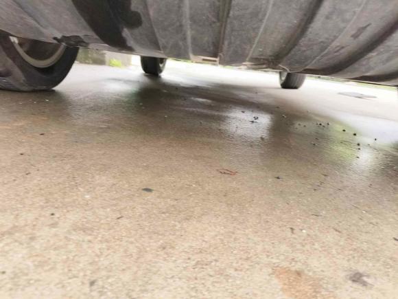 [嘉兴·浙A] 二手比亚迪元新能源2019款 EV535 智联领潮型