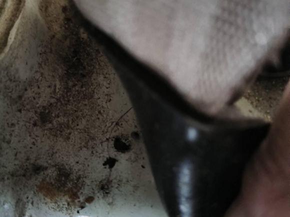 [武汉·鄂A] 二手长安凯程长安睿行M902016款 2.0L舒适型4G94S