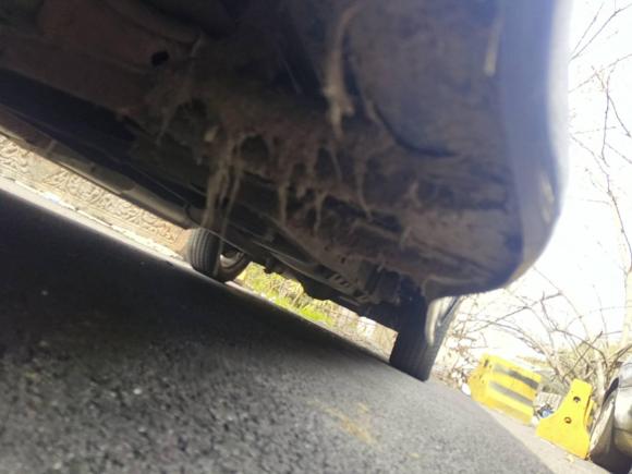 [上海·沪C] 二手GMCSAVANA2011款 6.0L 商务之星7座