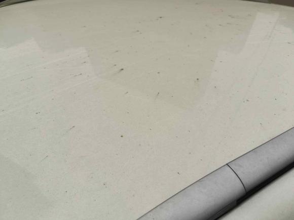 [南昌·赣A] 二手日产逍客2016款 2.0L CVT精英版