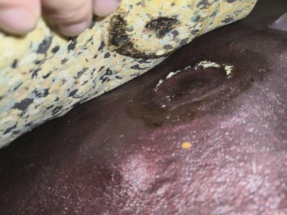 [常州·苏D] 二手本田缤智2015款 1.5L CVT两驱舒适型