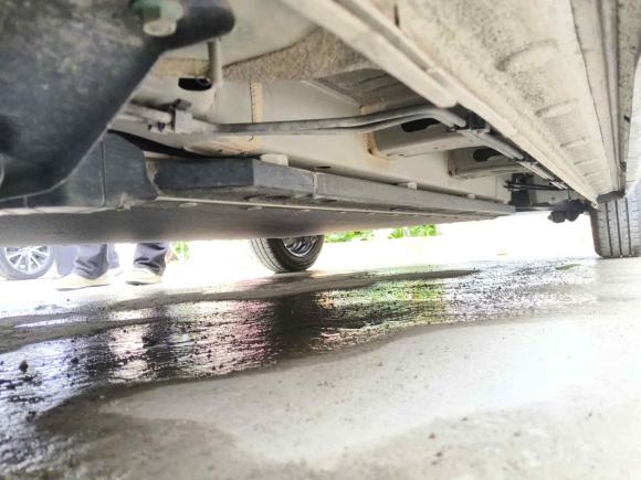 [上海·沪B] 二手比亚迪海鸥2025款 305km 活力版