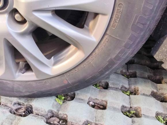 [苏州·苏E] 二手马自达马自达CX-42016款 2.0L 自动两驱蓝天活力版