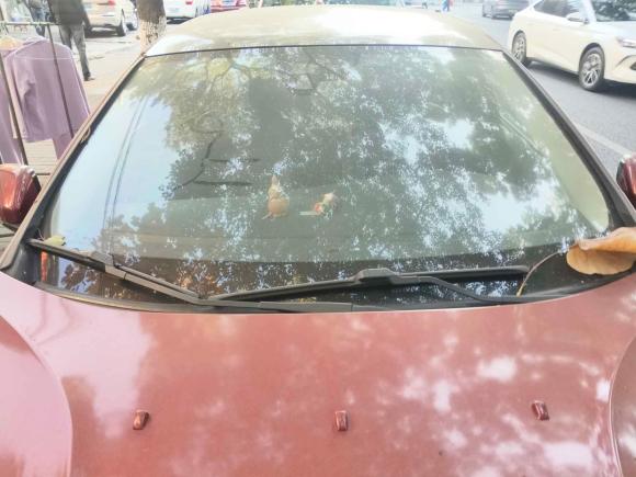 [上海·沪A] 二手沃尔沃沃尔沃V402013款 2.0T 智雅版